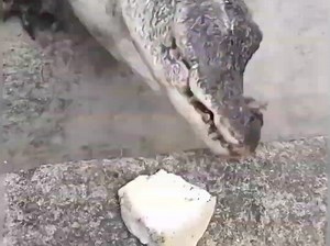 【钒煞男吵rvi3】最新视频来袭，快来看看吧！