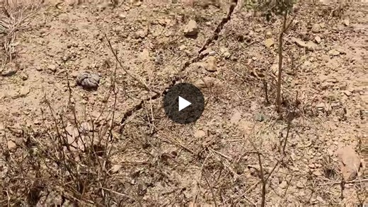 #mining #safety #slope #failures #monitoring #minemonitoring #cracks #slopestability #minesafety #geomos | Ayitey Bilson