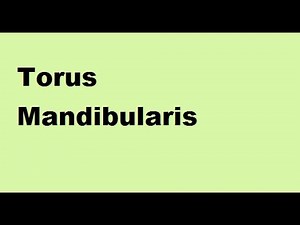 Torus Mandibularis