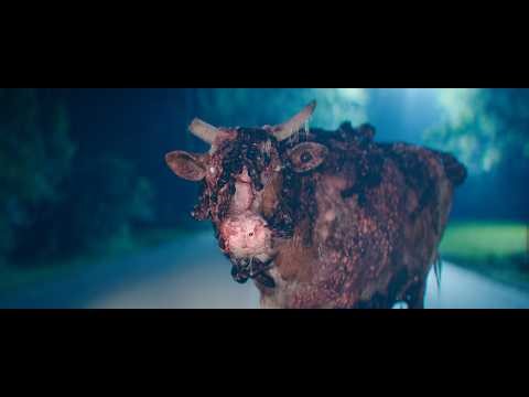 Creatures | VFX Reel | Ingenuity Studios