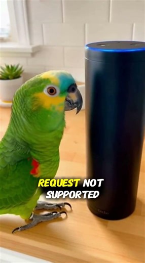Parrot : Be My Girlfriend? — Alexa: Not Supported 😭
