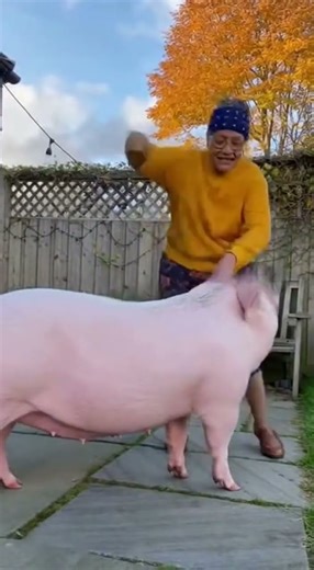 Pig Dance Challenge 🐖😂 #trendingnow #shorts #pig #dance #challenge