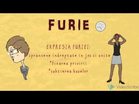 CELE SASE EMOTII