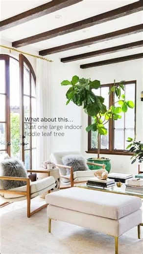 How to Arrange Indoor Plants Ideas