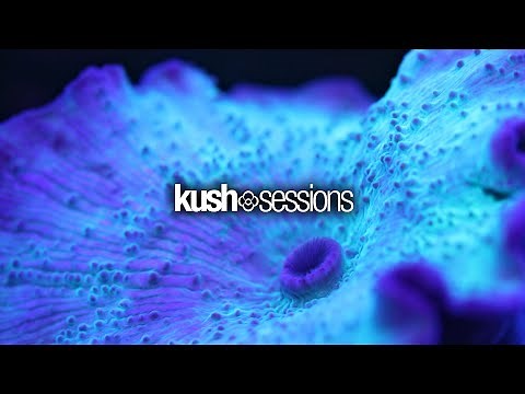#006 Liquid Love (Liquid Drum & Bass Mix)