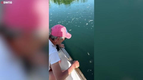 Un homme attrape un énorme poisson à mains nues