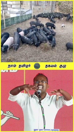 கருணாநிதி குடும்பத்தின் கூட்டம் தமிழ்நாட்டை நோண்டி தின்றுவிட்டது 😡 ஏப்26