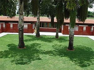 COMO MONTAR UM CANIL:PLANEJAMENTO (PARTE 3 DE 5) | AMIGO CAÇADOR - Rogério Amaro