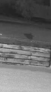 19K views | 10 News Perth on Reels | Facebook