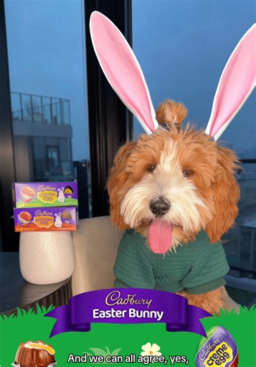 Cadbury Bunny's Verdict: A Chocolate Adventure
