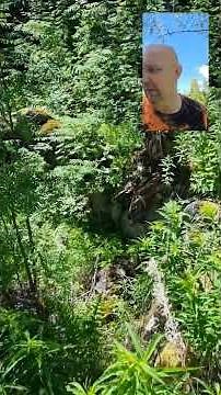 Vanhan rakennuksen kivijalka metsässä | Historialliset rauniot