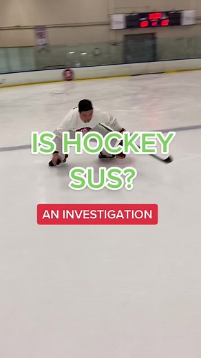 Is Hockey Sus? An Investigation