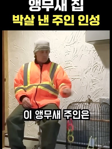 앵무새 집 박살 낸 주인 인성