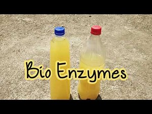 Diy Bio Enzyme