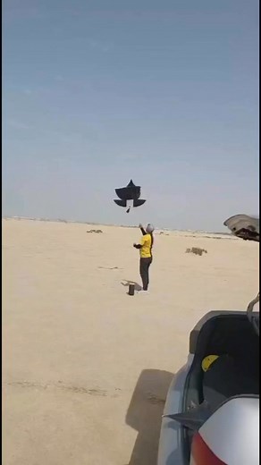 #Kiteflying | Kite Flying