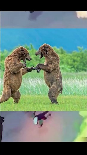 YOU. ME. GAS STATION SUSHI.