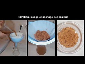 Extraction du chitosane pour fabriquer un bioplastique