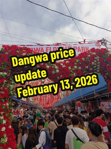 Dangwa prices update as of February 13, 2026 #dangwa #dangwaflowermarket #dangwaflowers #valentines2026