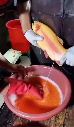 Breeding Trout: A Complete Guide for Aquarists