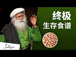 终极生存食谱 —— 瑜伽超级食物之花生 | Sadhguru 萨古鲁