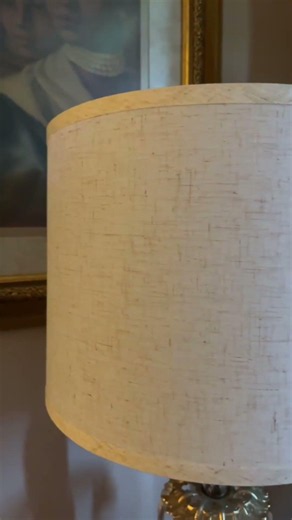 Gorgeous Lamp Shade Duo! #lampshade #lighting