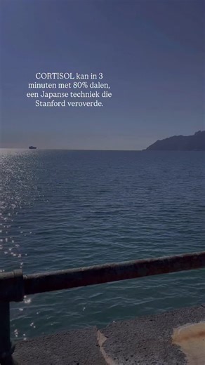Health & Lifestyle by Amy on Instagram: "De Shin-kokyu techniek is een eeuwenoude samoerai-ademhaling voor diepe rust. 1000 jaar geleden gebruikten samoerai dit voor een gevecht. En eerlijk? Als het werkte onder extreme stress, werkt het ook bij een volle dag, onrust en spanning. Stanford-metingen laten zien: • cortisol daalt snel • hartslag zakt • je lichaam schakelt terug naar rust Stap 1 – box breathing (4-4-4-4) Adem in door je neus (tong tegen je gehemelte) Houd vast met lichte spanning in 