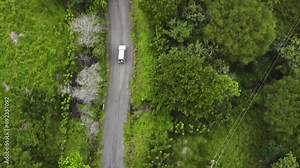 4x4 jeep touring car driving off road crossing jungle green deep vegetation aerial drone