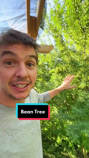 The production potential is unmatched #farm #smallfarm #grow #food #farmtok #marketgarden #garden