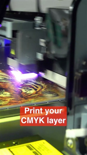 Lenticular Printing That Shifts From Photo to Illustration - XpertJet661UF
