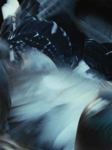 Outdoor Research on Reels