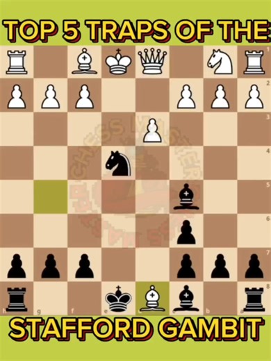 5 Variation of the Stafford Gambit Traps 📖♟️🔥 #ChessMaster | Chess Master