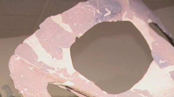 Learn what it takes to be a museum professional