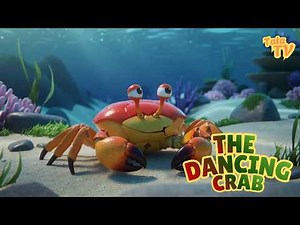 🎵 The Dancing Crab | Animals Songs For Toddlers & Kids | Education Show For Children 🎵
