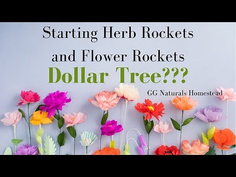 Dollar Tree Gardening??? Flower Rockets and Herb Rockets... LET’S DO IT! GG Naturals Homestead☀️🌱