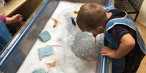 Providing a Language Rich Curriculum in the EYFS at Robert Mellors Primary Academy