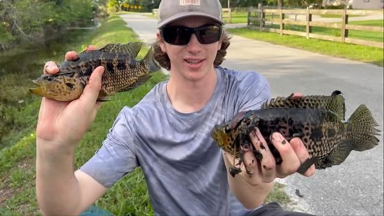 Netting escaped aquarium fish for my backyard pond