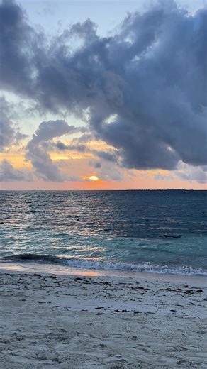 Videos de caroolpoons (@caroolpoons) con “sonido original - ¿?”