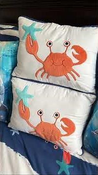 Dolphin tale slideshow