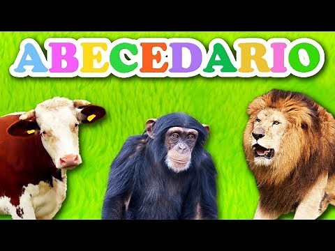 El abecedario con animales y sus sonidos!