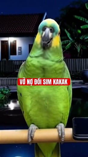 GOING BANKRUPT? CHANGE YOUR SIM CARD, KAKAK...