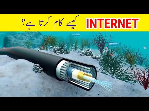 How the Internet Works