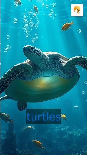 The Glowing Sea Turtles: Nature's Neon Mystery!