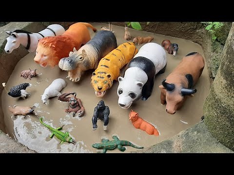 Animais de Plástico Presos na Lama Orangotango Caracal Antílope Órix Pantera Negra Gorila Canguru