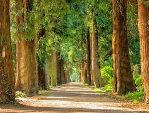 Sweetest Heaven By Clint Stahl | Hutterite Communities