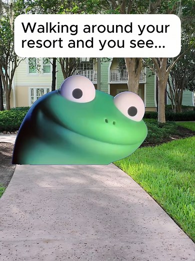 Discover the Abundance of Lizards at Disney Resorts
