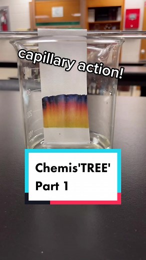 Chris Kurowski on TikTok