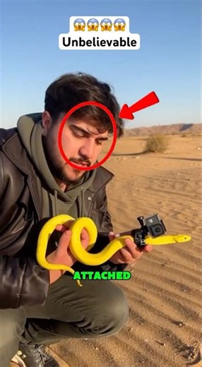 Snake Cam Goes Inside a Burrow… You Won’t Believe What It Found! 😱🐍 #Shorts