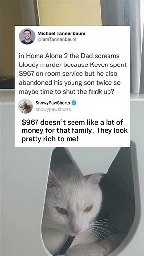 Home Alone Dad Goes Crazy Over Hotel Bill