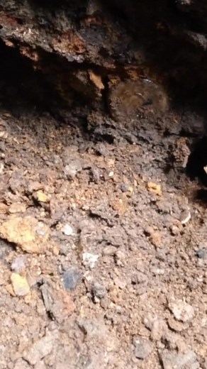 Deep diggin in the dump! #deep #explore #old | Gone Diggin