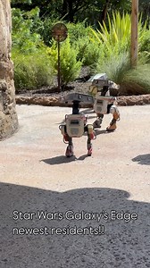 9.5K reactions · 476 comments | BDX droids are now at Star Wars Galaxy’s Edge at Walt Disney World’s Hollywood Studios! | Unofficial Disney Character Hunting Guide | Facebook
